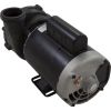 05320761-2040HZW Pump Aqua Flo XP2e 2.0hp Century 230v 2-Spd 56fr 2