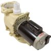 56SFP100-I Pump S-LX 1.0hp 230v 1-Spd Uprate