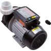 WTC50MSTD  Hot tub Pump Circulation  LX  WTCM  1/15hp  230v  48Fr    1.5 used on sundance spa as well  /Ask Mp