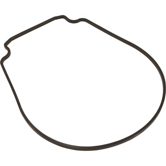 357100 GasketPentair Purex IntelliFlo VSSeal Plate Special ID/OD