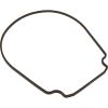 357100 GasketPentair Purex IntelliFlo VSSeal Plate Special ID/OD