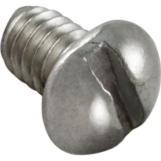 U30-401SS Screw Pentair Sta-Rite DuraGlas II 8-32 x 1/4