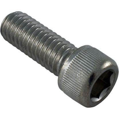 U30-99SS Screw Pentair Sta-Rite 3/8-16 x 1