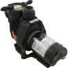  PumpSpck EsyFitDynaPro/Glas0.75hp115v/230v1Spd1.5