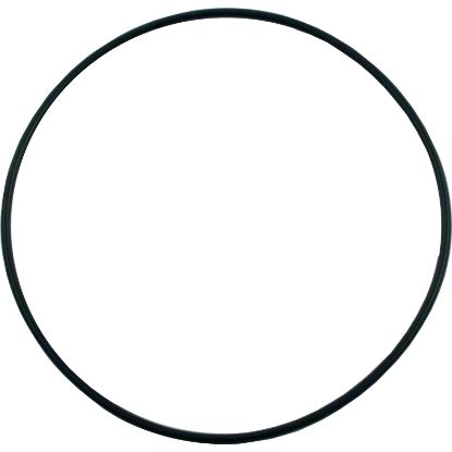 SPX1705Z1 O-Ring Hayward SP1700 Seal Plate O-237
