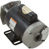B662 Motor Century 0.75hp 115v/230v 1 Spd 56YfrThd No SVRS