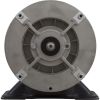 BN25 Motor Century/WW 1.0SPL 115v 1-Speed 48 Frame