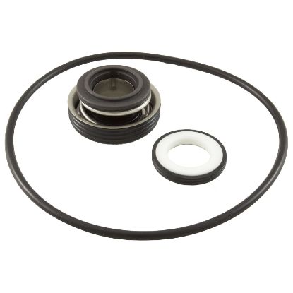 018227F Mechanical Seal Raypak Protege RPAGP 1/2" With O-Ring