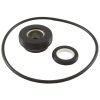 018227F Mechanical Seal Raypak Protege RPAGP 1/2" With O-Ring