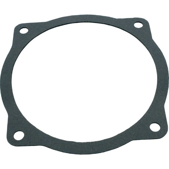 91500100 Gasket Val-Pak AquaFlo A Series Seal Plate