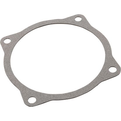 G-44 Gasket AquaFlo A Volute 4-13/16