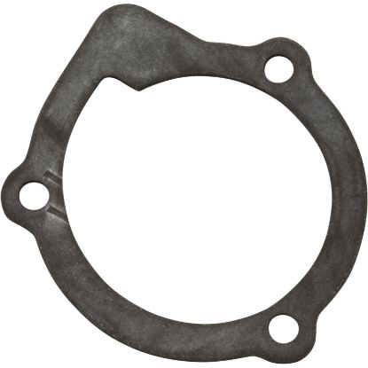 101604 Gasket Volute Little Giant PE-1