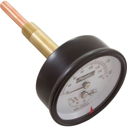 007205F Temperature and Pressure Gauge Raypak Heaters 1/2