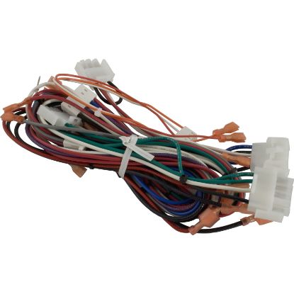 FDXLWHA0001 Wire Harness Hayward Universal Pre 2008