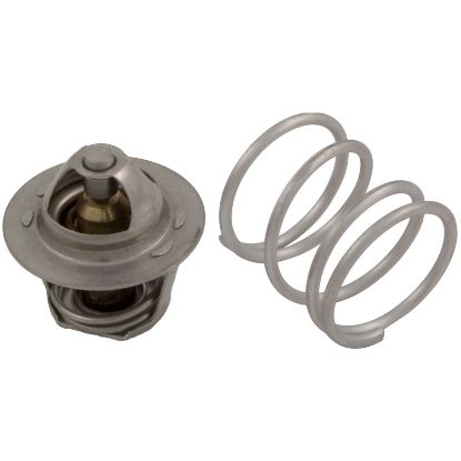 HMXFCT2930 Thermostat Hayward HM/HM2 Flow Control