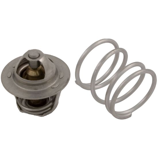 HMXFCT2930 Thermostat Hayward HM/HM2 Flow Control