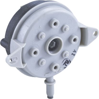 472327 Air Vacuum Switch Pentair Gray-0.80