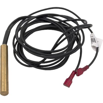 070274 Sensor Temperature Pentair Minimax IID