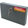 005198 Poolstat Lock Box Raypak