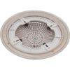 A10RCFR101 Main Drain Grate Retro 10