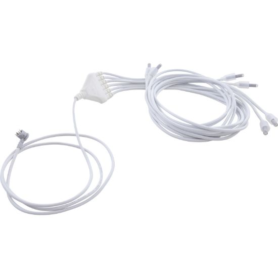 MINI0-RD0C6 Replacement Bulb RD 2-Wire Mini POL Six-Way LED 67"