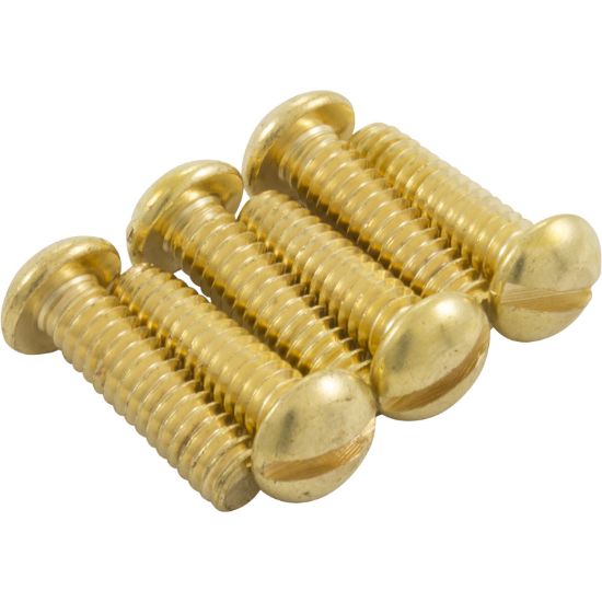 SPX0502Z66 Light Screws Hayward SP0500 SP0501 SP0502 Quantity 6