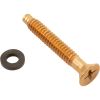 79104800Z Light Pilot Screw American Products Amerlite Brass