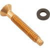 79104800Z Light Pilot Screw American Products Amerlite Brass