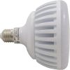 LPL-P2-RGB-120 Replacment pool light  Bulb J&J Electronics Color Splash LXG Pool Light 115v