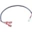 21224 Pressure Switch Wire Balboa 12
