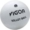 VBK-105 Volleyball SR Smith Swim N Spike w/ 20ft Net & Needle
