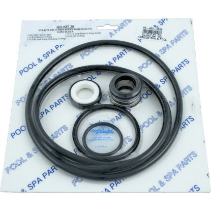  Go-Kit 38 Sta-Rite P4E P4EA Max-E-Glas II/Dura-Glas II