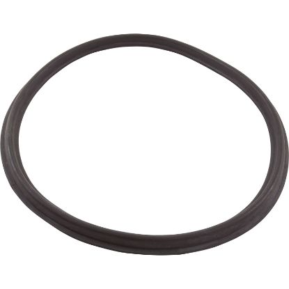  Gasket Harmsco BF55C/105SC/155SC Tank Lid Generic