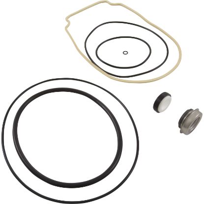 65032 Pump Rebuild Kit 32 WhisperFlo Pump