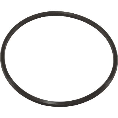 10062-ACC O-Ring AquaPro AL75 Trap Lid