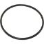 10062-ACC O-Ring AquaPro AL75 Trap Lid