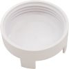 25307-500-020 Rainbow Chlorinator Lid