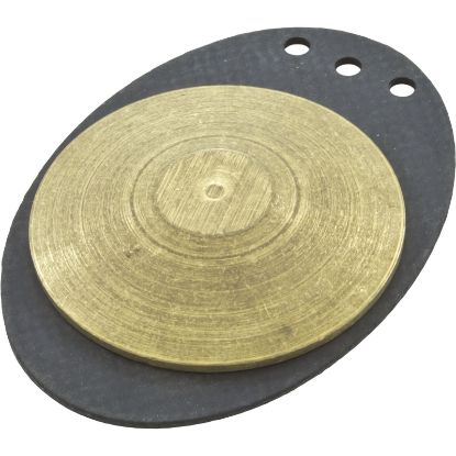 272032 Diaphragm 2"Vlv Chk Wt