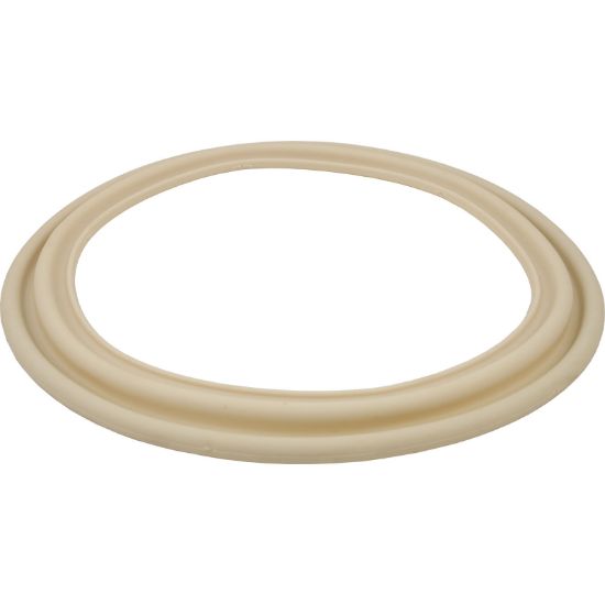 ECX5000G Gasket Hayward Perflex EC50C Tube Sheet