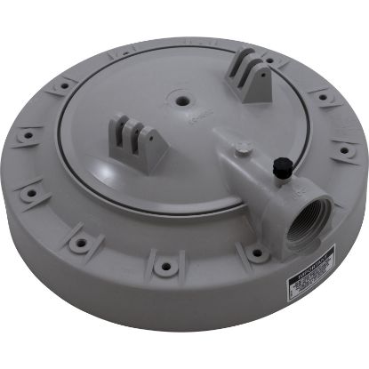 ECX10334P Tank Lid Hayward Perflex EC40