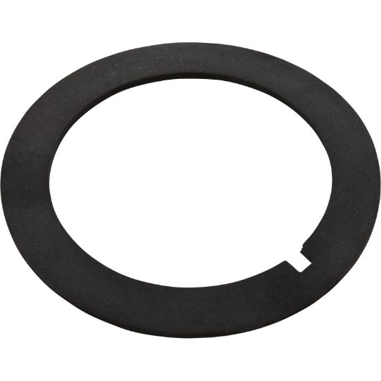 G-380 Gasket Titan/SandpiperBulkhead2-5/8