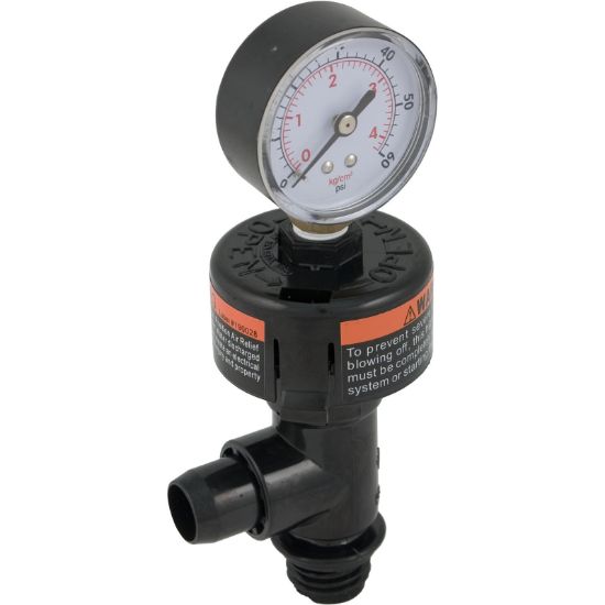 073027 Pressure Gauge AssyPentair SMBW1/4