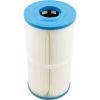 018240F Cartridge Raypak Protege RPCFP50