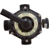 262504 Multiport Valve Pentair Tagelus TM 12-B 1-1/2