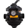 262504 Multiport Valve Pentair Tagelus TM 12-B 1-1/2