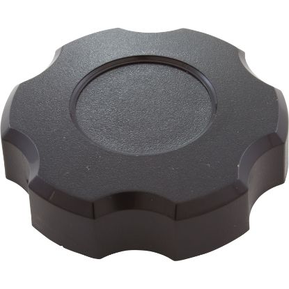 154581 Knob Pentair Triton C-3