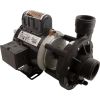 3J10070-1E Hot Tub  Pump Circulation  WaterWay  Iron Might  1/15hp 230v 48fr  ,   50/60HzOEM