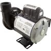 3J10070-1E Hot Tub  Pump Circulation  WaterWay  Iron Might  1/15hp 230v 48fr  ,   50/60HzOEM