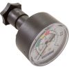 4404080104 Pressure Gauge Kit Astral Back Mount 1/8