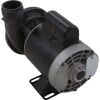 02093001-2010HZW Pump Circ Gecko AquaFlo CMHP 1/15hp Century 230v 1-1/2"